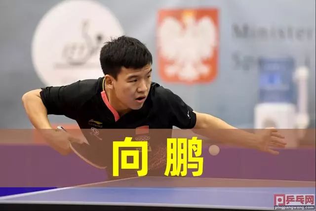 赛平添了几 赛平添了几