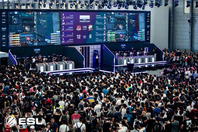 鹿特丹魔咒 鹿特丹魔咒